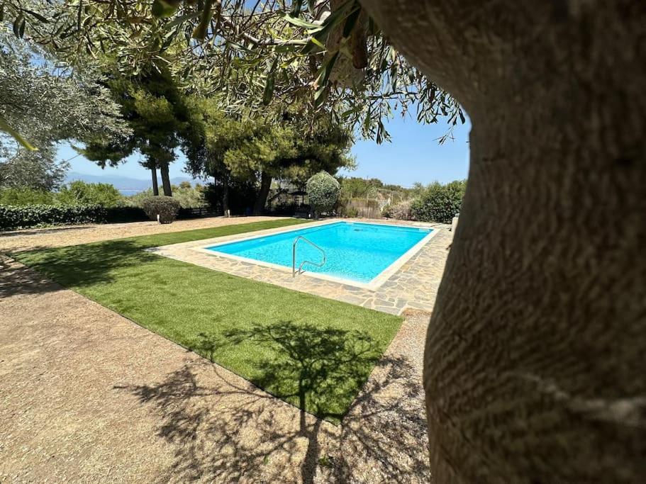 Agioi Apostoloi  Villa Terrina מראה חיצוני תמונה